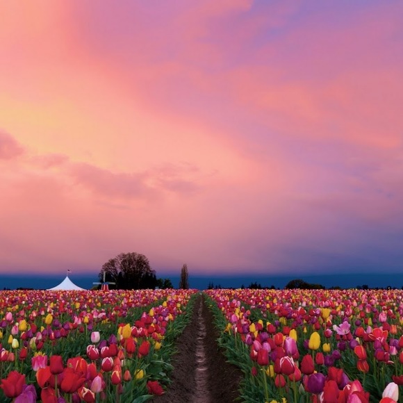 Meet your Posher, Leanne - Picture 1 of 1